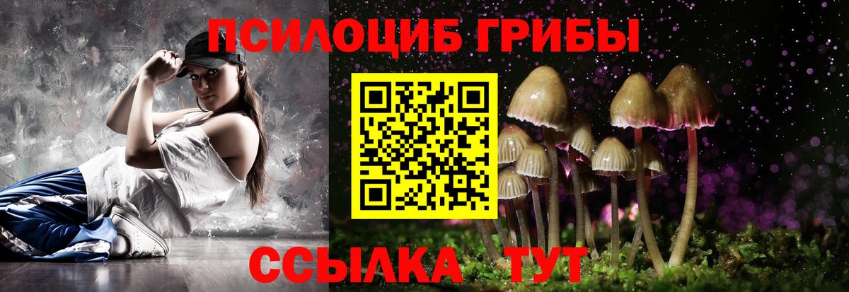 Псилоцибиновые грибы прущие грибы  где найти   Галлюциногенные грибы прущие грибы  Еманжелинск  Вход с VPN 
