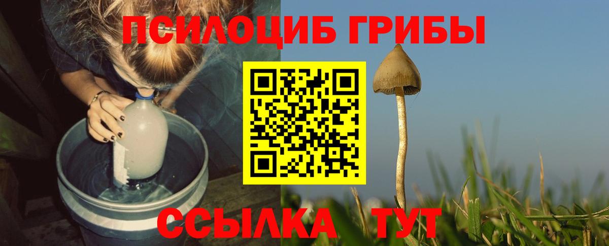 Галлюциногенные грибы мухоморы Еманжелинск